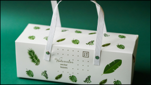 Lee más sobre el artículo Protección de Productos para E-Commerce y Retail: Guía Detallada para Diseño de Envases Eficientes y Sostenibles